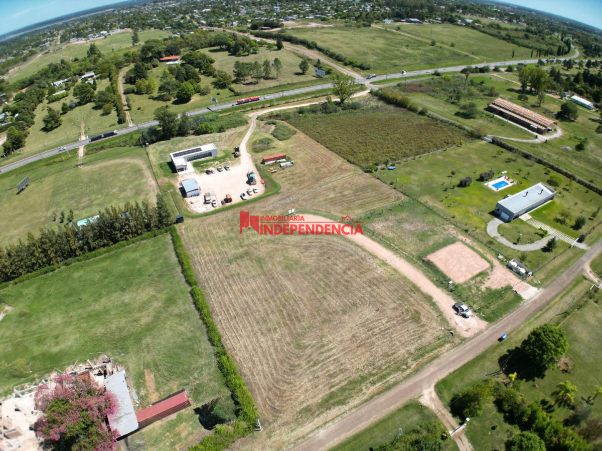 Terreno ID.298 - Terrenos de 1500 m2 sobre Ruta 3