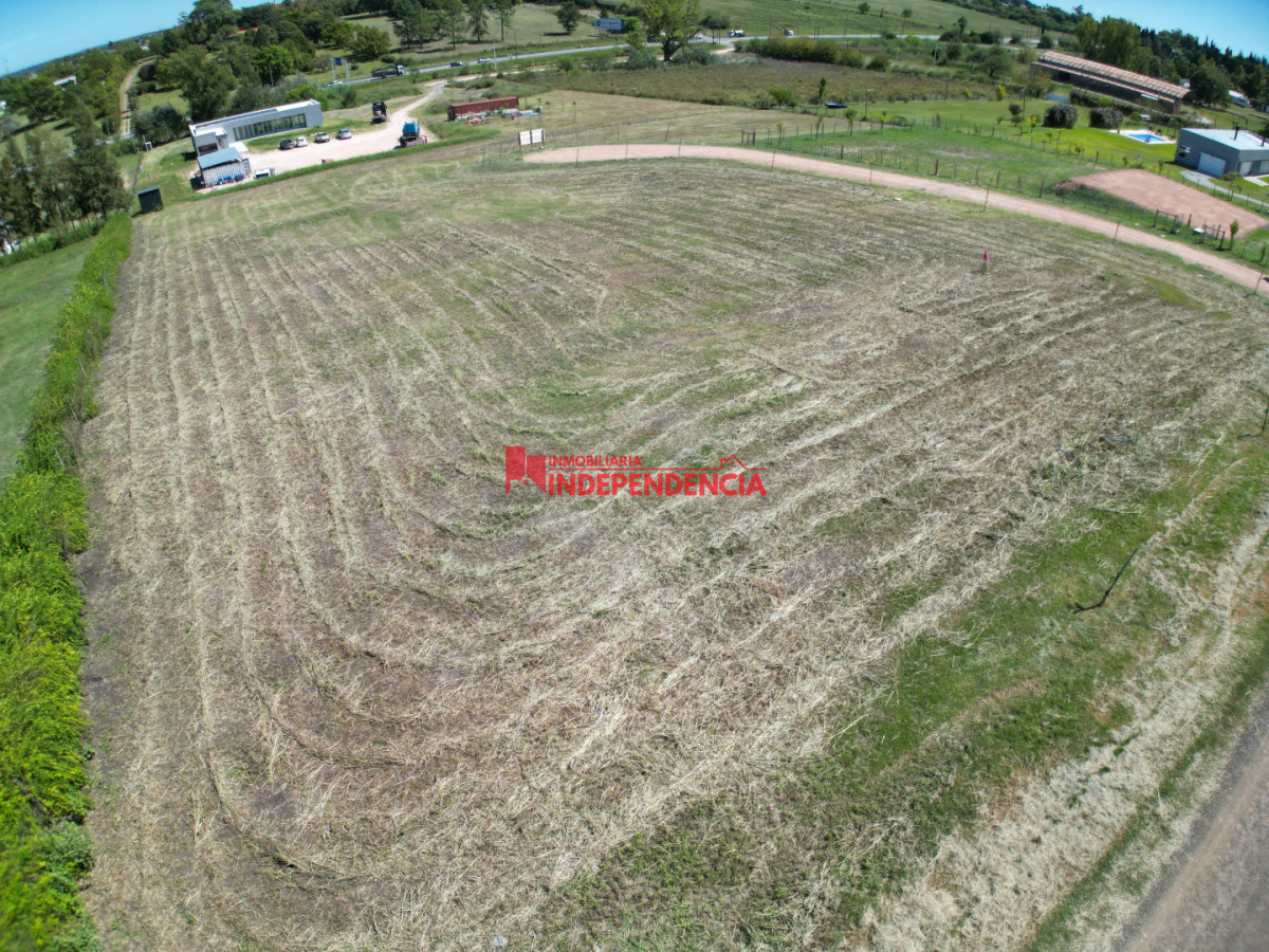 Terreno ID.298 - Terrenos de 1500 m2 sobre Ruta 3