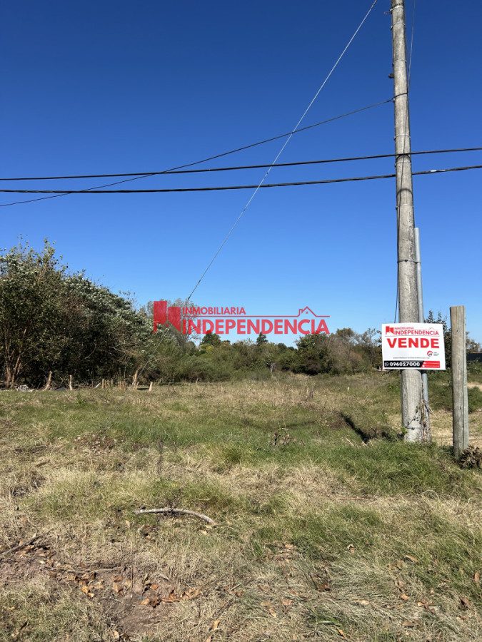 Terreno ID.310 - Terreno de 3003m2 en Venta