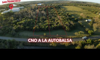DOS TERRENOS DE 9510 M2 EN VENTA