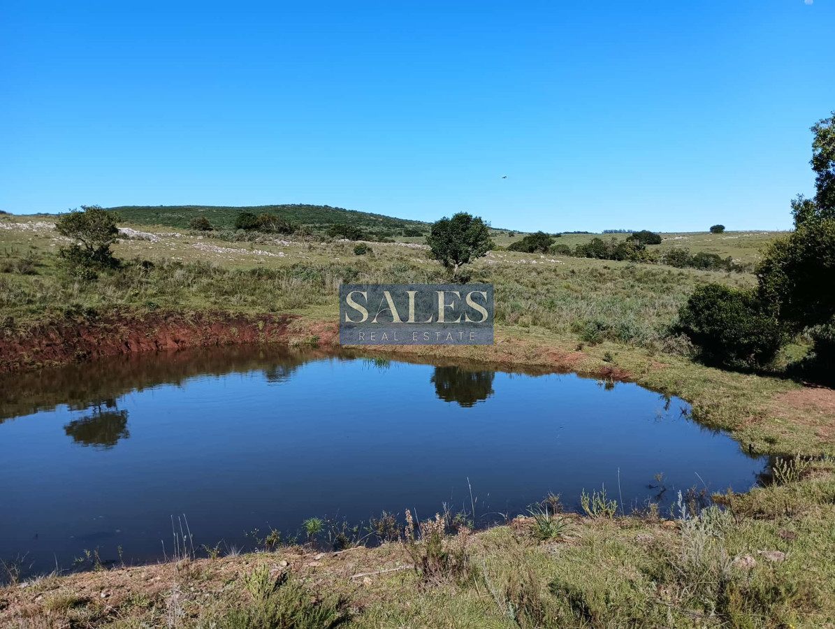 Chacra ID.683 - Chacras en venta en Pueblo Eden
