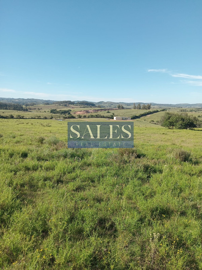 Chacra ID.683 - Chacras en venta en Pueblo Eden