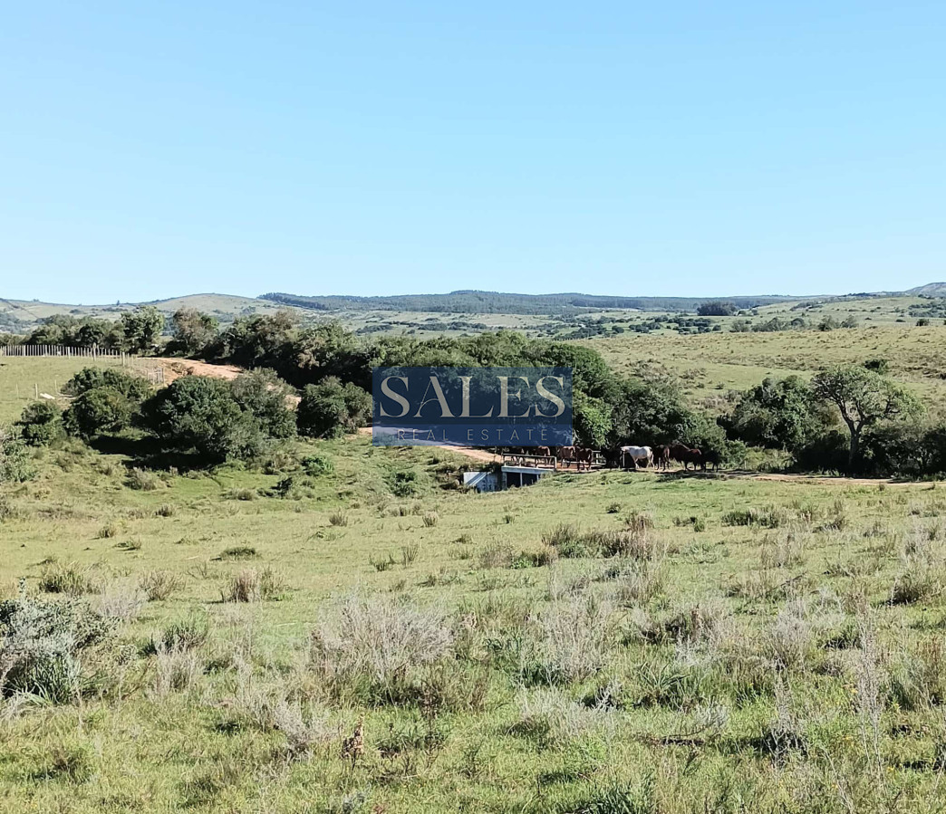 Chacra ID.683 - Chacras en venta en Pueblo Eden