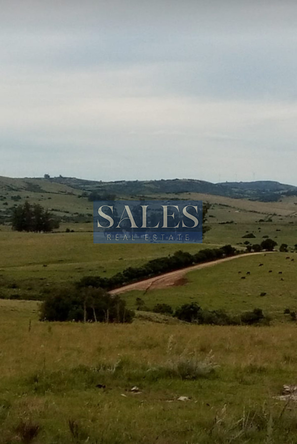 Chacra ID.683 - Chacras en venta en Pueblo Eden