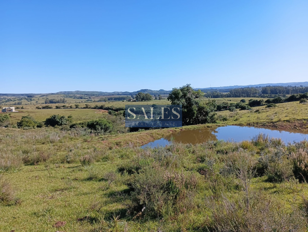 Chacra ID.683 - Chacras en venta en Pueblo Eden