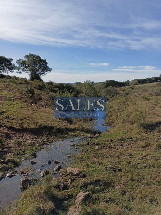 Chacra ID.683 - Chacras en venta en Pueblo Eden