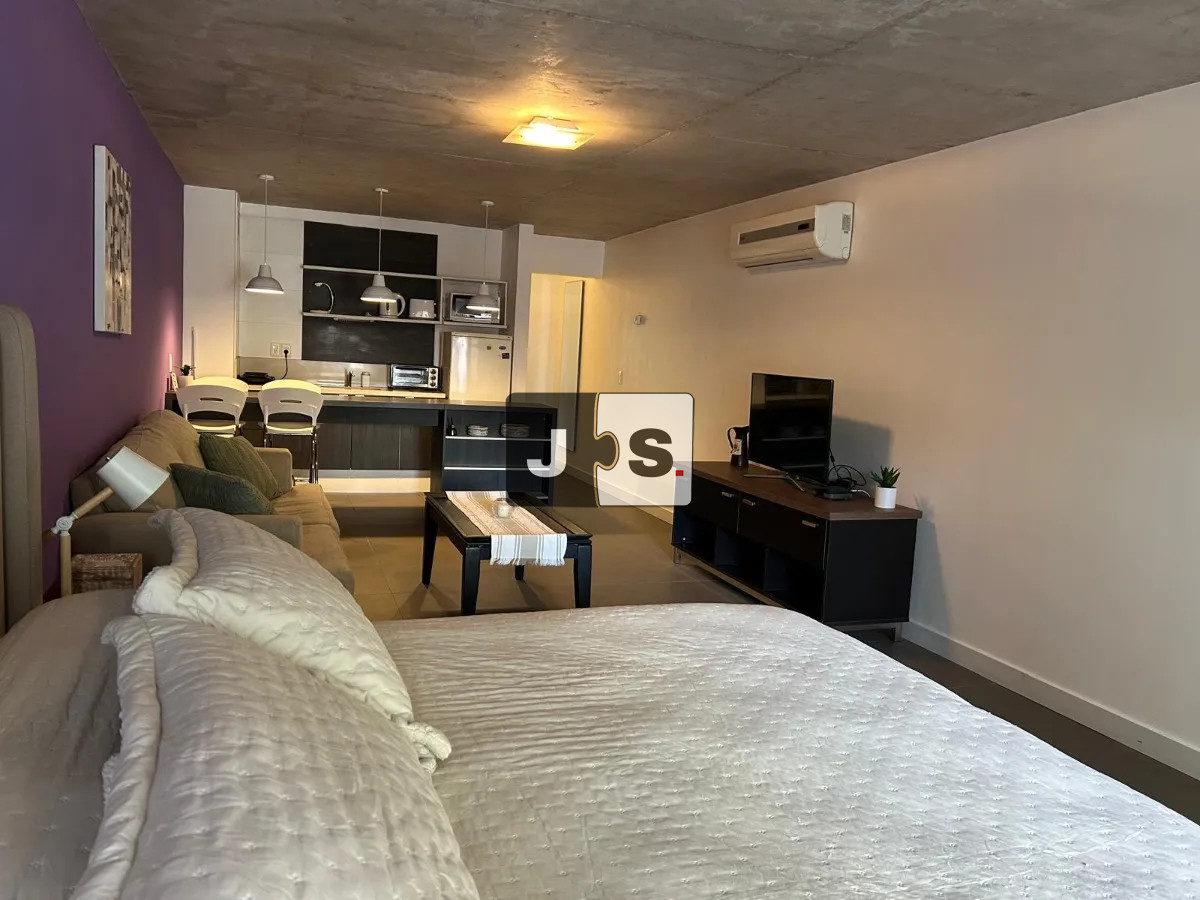 Apartamento ID.3624 - Alquiler Monoambiente, terraza Balco, Azotea, garaje Opcional, Pocitos