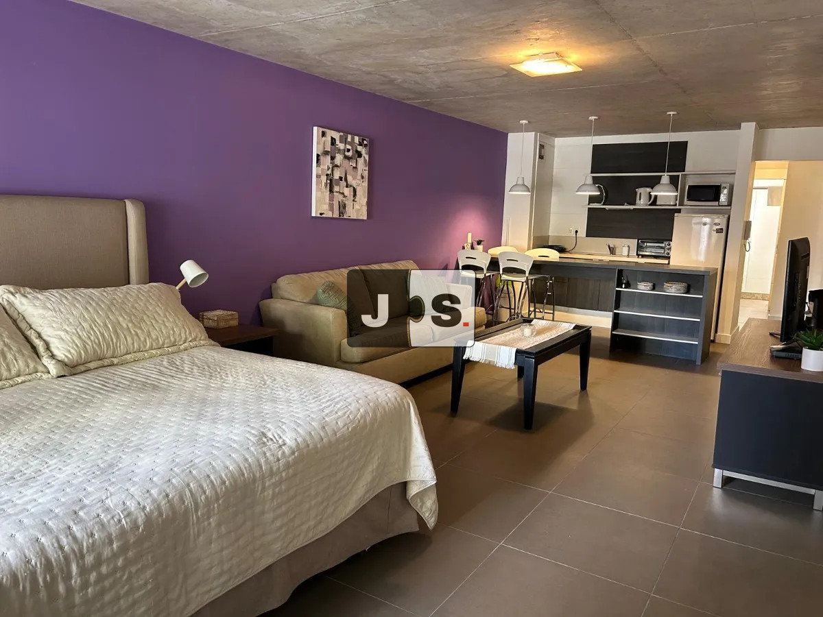 Apartamento ID.3624 - Alquiler Monoambiente, terraza Balco, Azotea, garaje Opcional, Pocitos