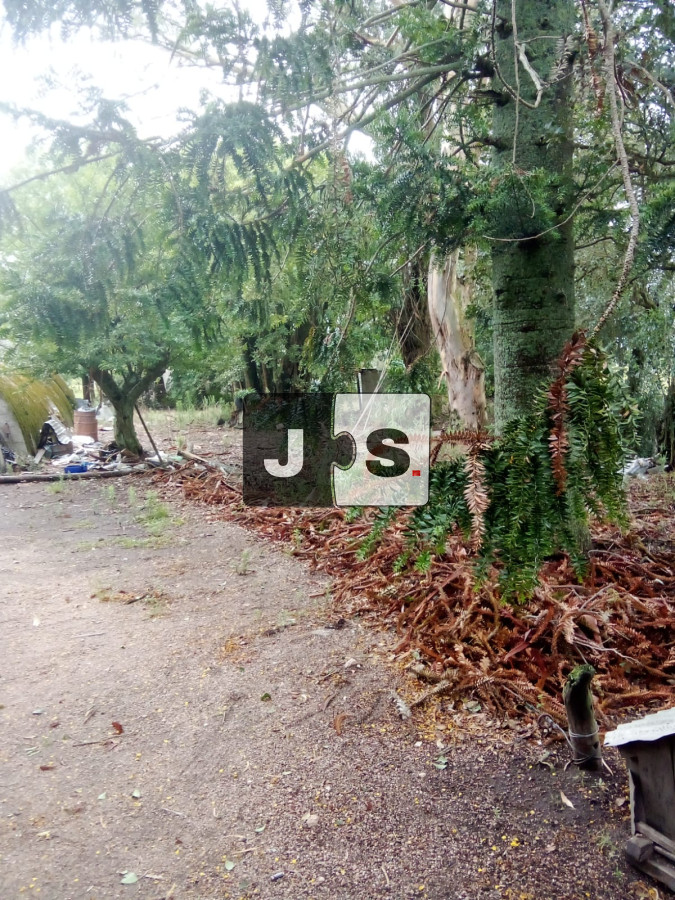 Chacra ID.2946 - Vendo campo terreno chacra en Florida