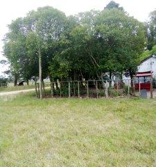 Vendo campo terreno chacra en Florida