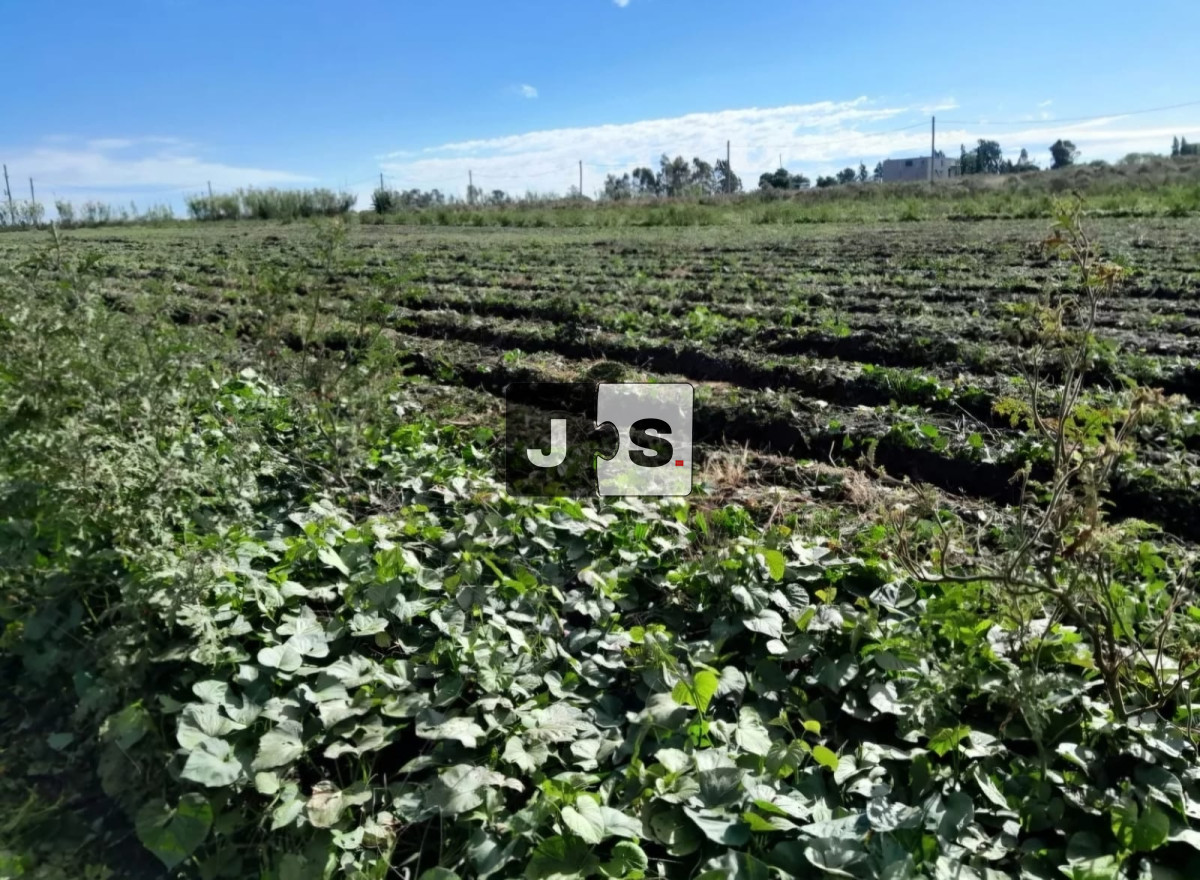 Campo Ref.3210 - Venta campo 8.5 hectáreas Canelón Chico