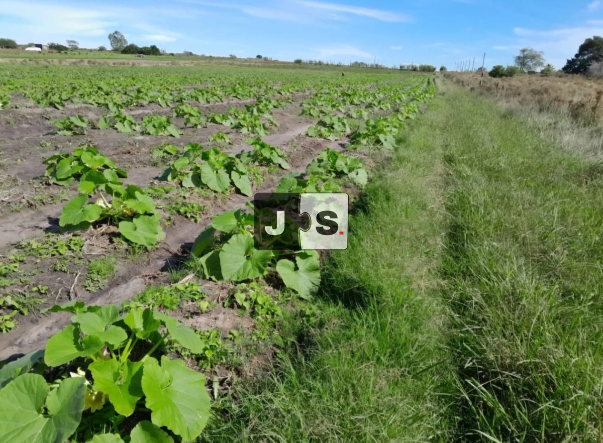 Campo Ref.3210 - Venta campo 8.5 hectáreas Canelón Chico