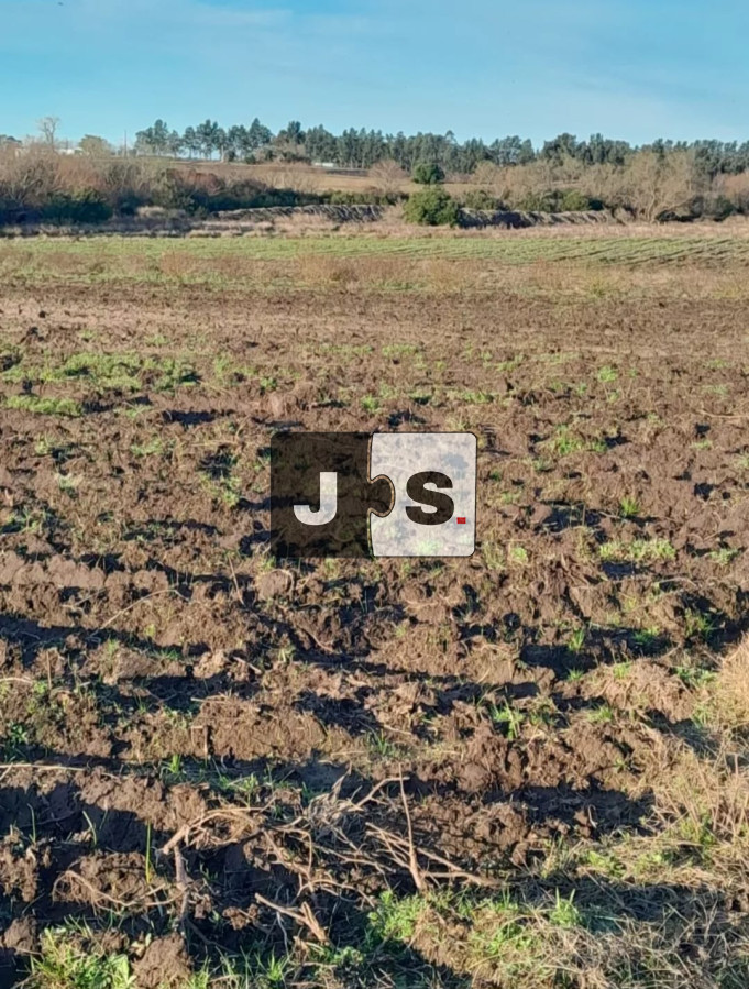 Campo Ref.3210 - Venta campo 8.5 hectáreas Canelón Chico