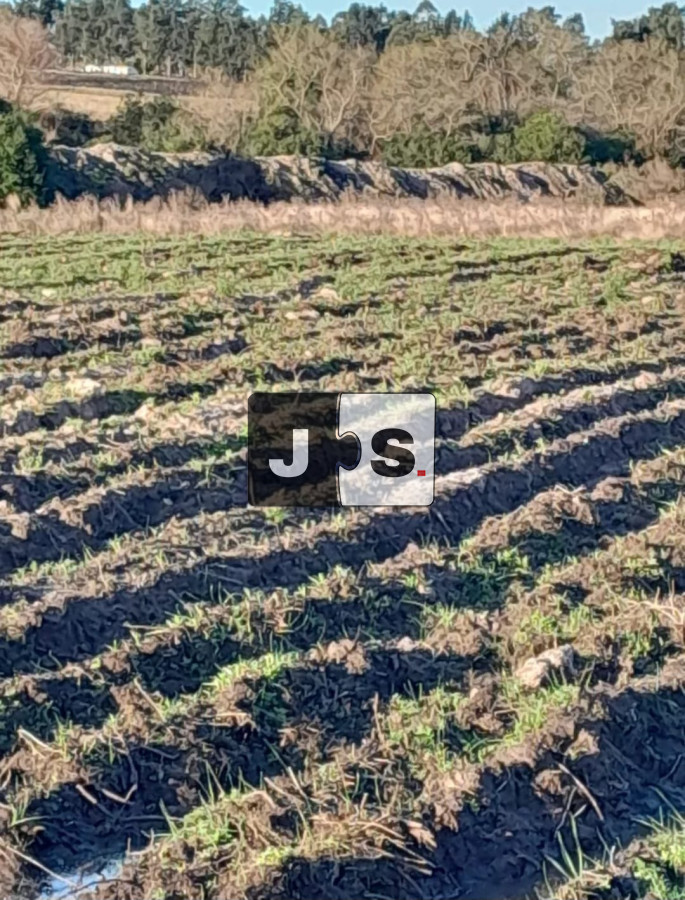 Campo Ref.3210 - Venta campo 8.5 hectáreas Canelón Chico