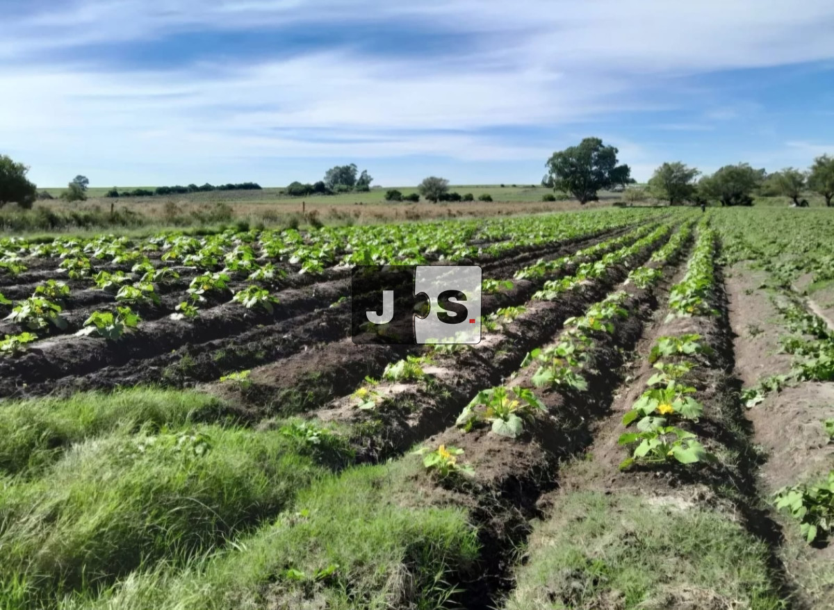 Campo Ref.3210 - Venta campo 8.5 hectáreas Canelón Chico