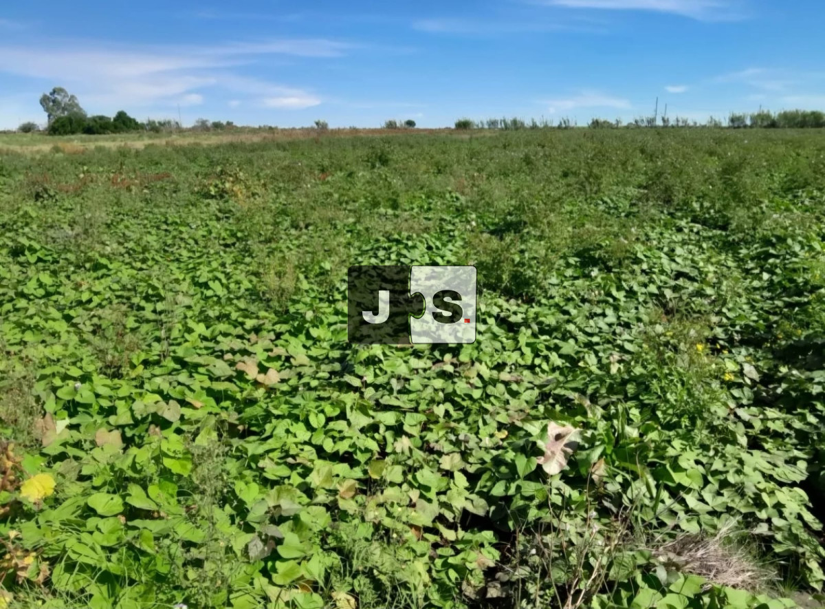 Campo Ref.3210 - Venta campo 8.5 hectáreas Canelón Chico