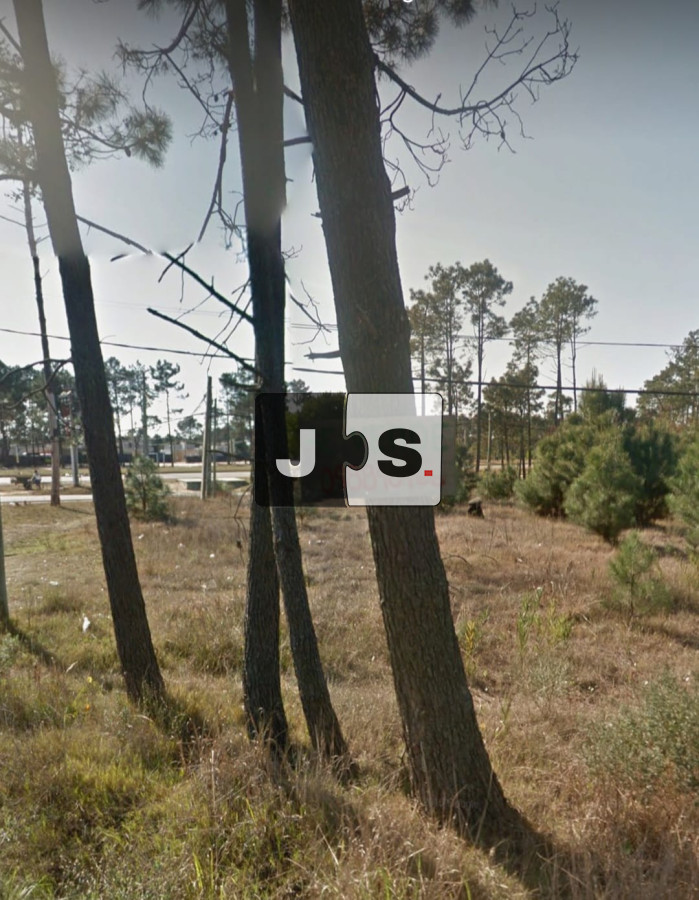 Terreno ID.1123 - Venta terreno 1535m* El Pinar C. de la Costa