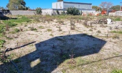 Venta y alquiler terreno 696 m2 Paso Carrasco C. de la Costa