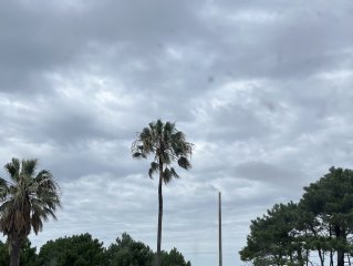 Apartamento en Montevideo, Carrasco