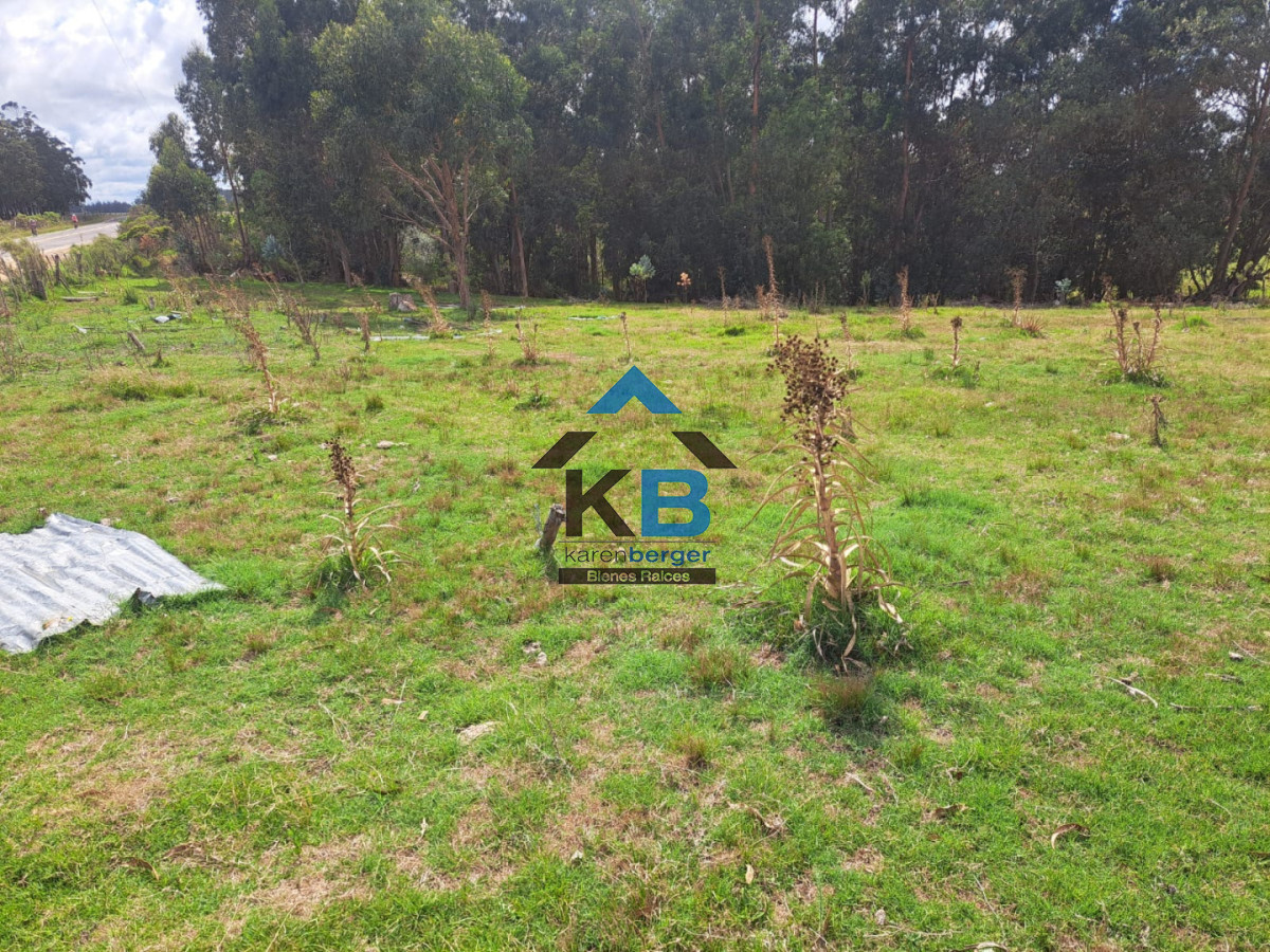 Casa ID.639 - Casa a reciclar gran potencial