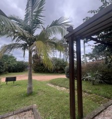 Montoya. Punta Del Este