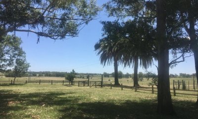 Alquiler De Chacra En Durazno Con Casa.