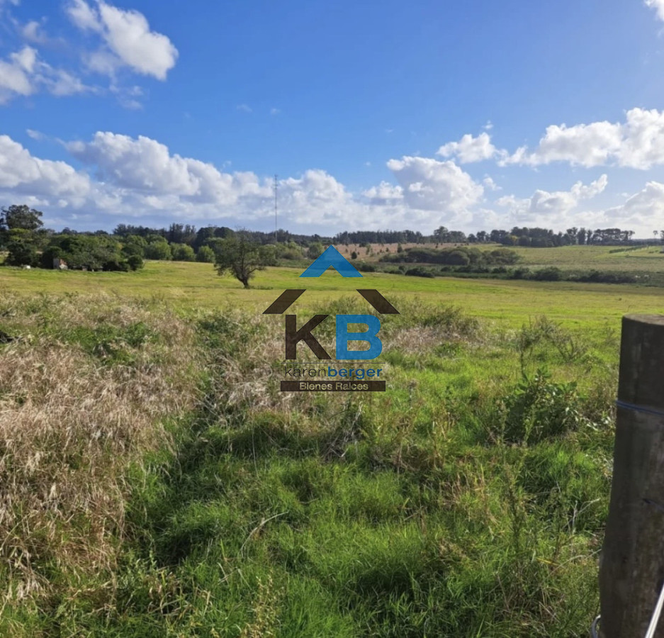 Chacra ID.619 - Jose Ignacio R 104