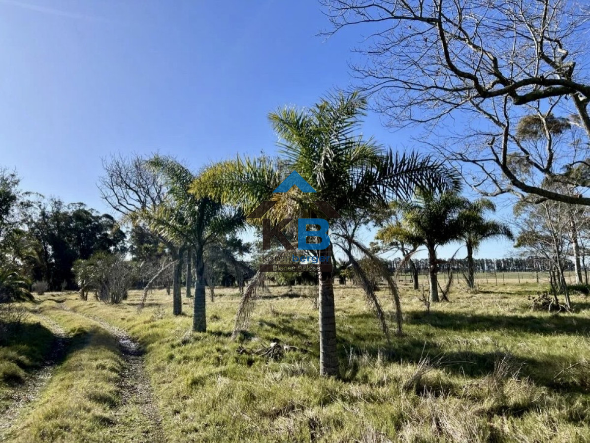 Chacra ID.640 - Campo con casa El Caracol 