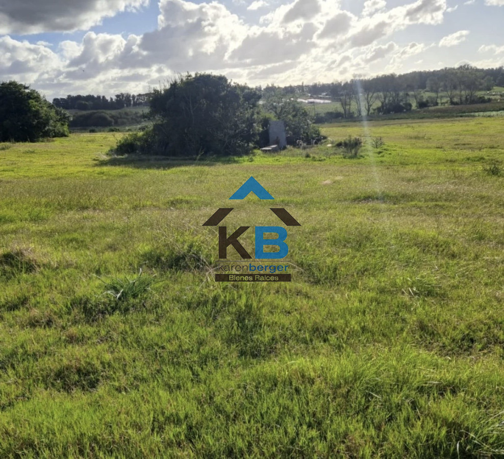 Chacra ID.619 - Jose Ignacio R 104