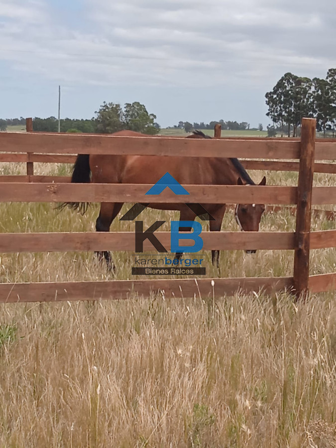 Chacra ID.652 - Venta de chacra en San Jacinto 