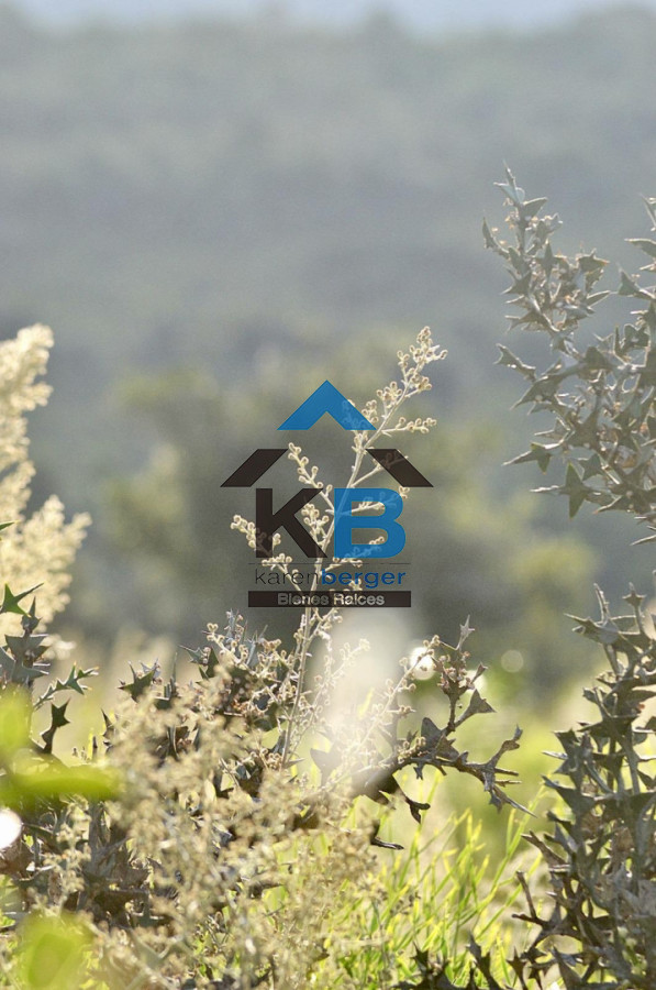 Chacra ID.664 - 