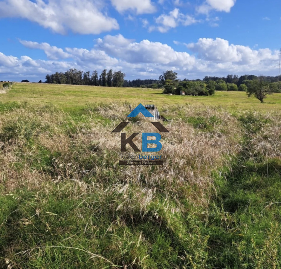 Chacra ID.619 - Jose Ignacio R 104