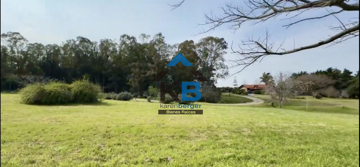 Chacra ID.519 - 