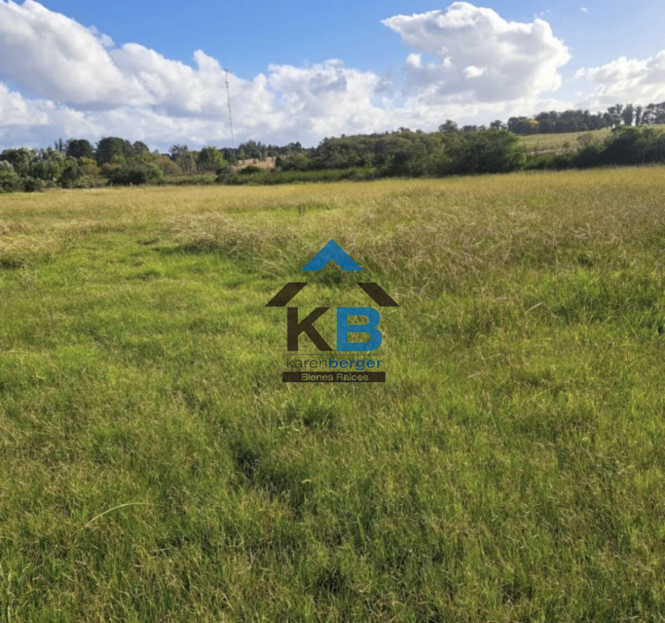 Chacra ID.619 - Jose Ignacio R 104