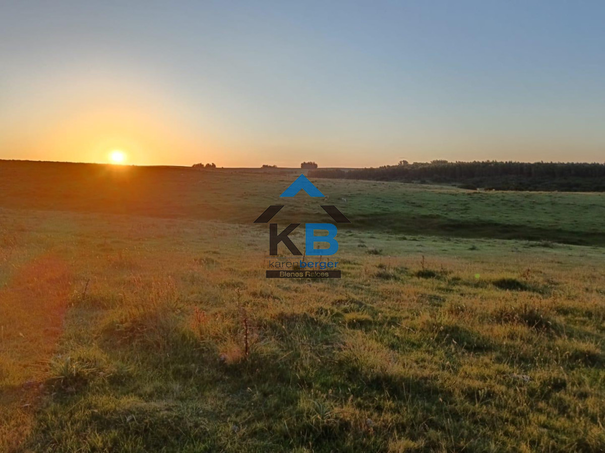 Chacra ID.635 - Venta chacra Jose Ignacio 