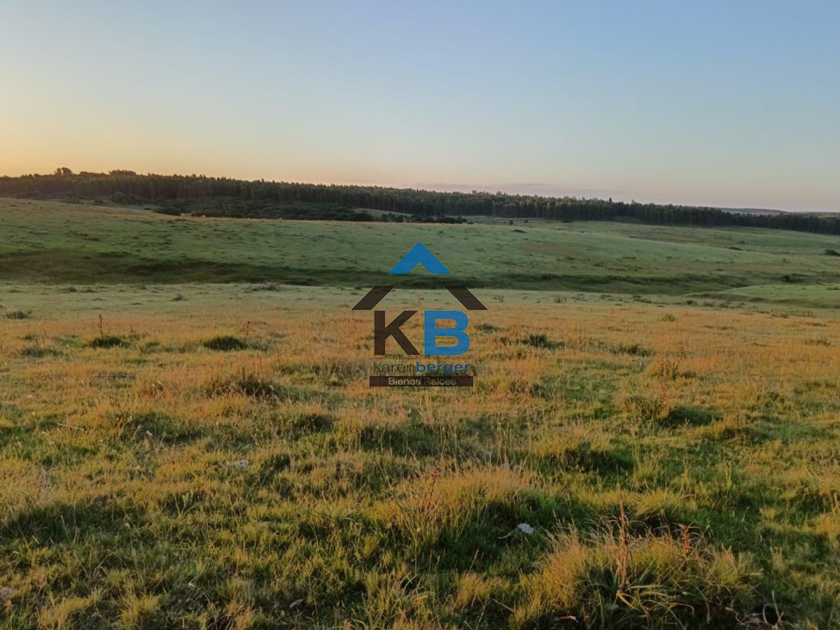 Chacra ID.635 - Venta chacra Jose Ignacio 