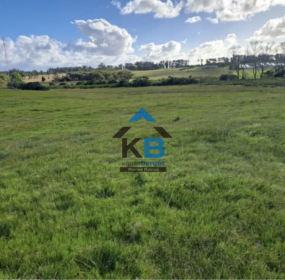 Chacra ID.619 - Jose Ignacio R 104