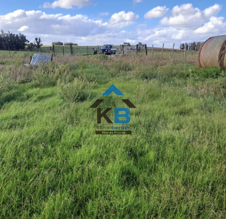 Chacra ID.619 - Jose Ignacio R 104