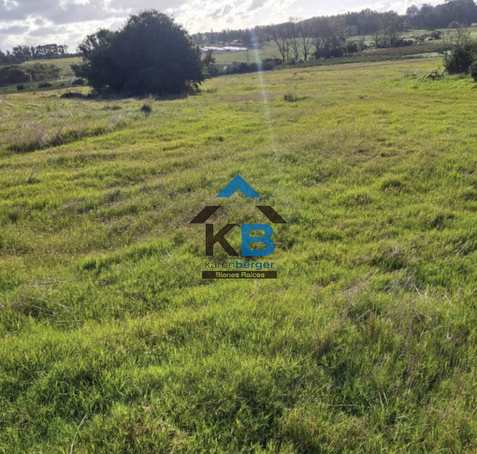 Chacra ID.619 - Jose Ignacio R 104