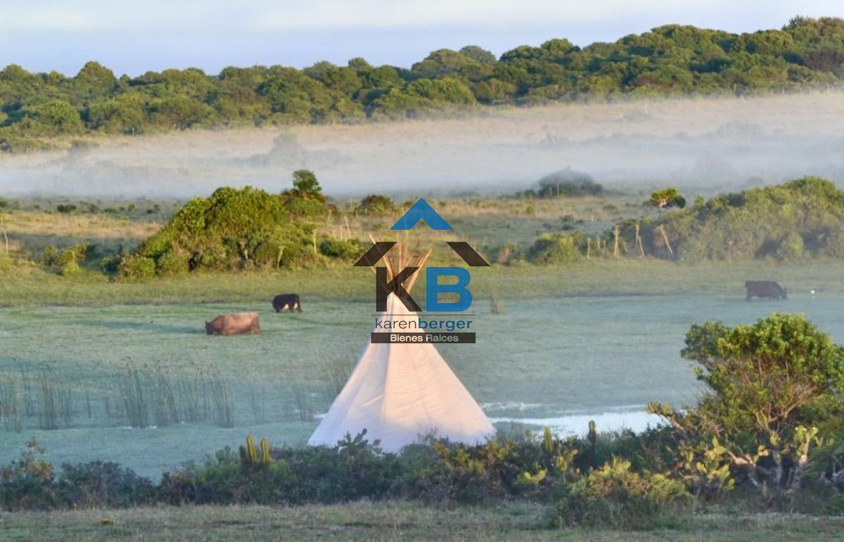 Chacra ID.640 - Campo con casa El Caracol 