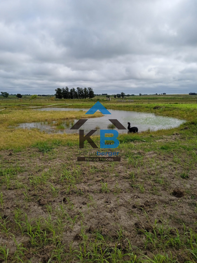 Chacra ID.652 - Venta de chacra en San Jacinto 