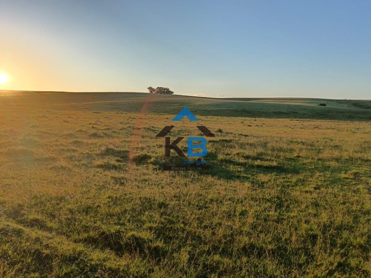 Chacra ID.635 - Venta chacra Jose Ignacio 