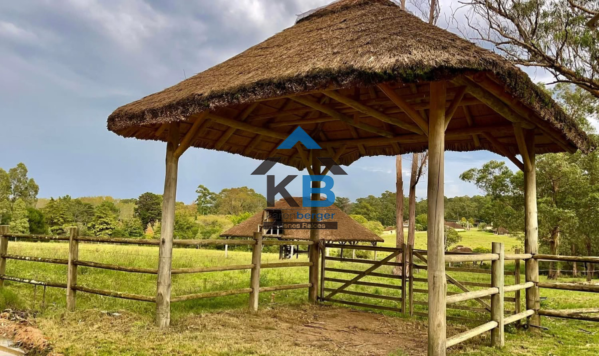 Chacra ID.548 - 