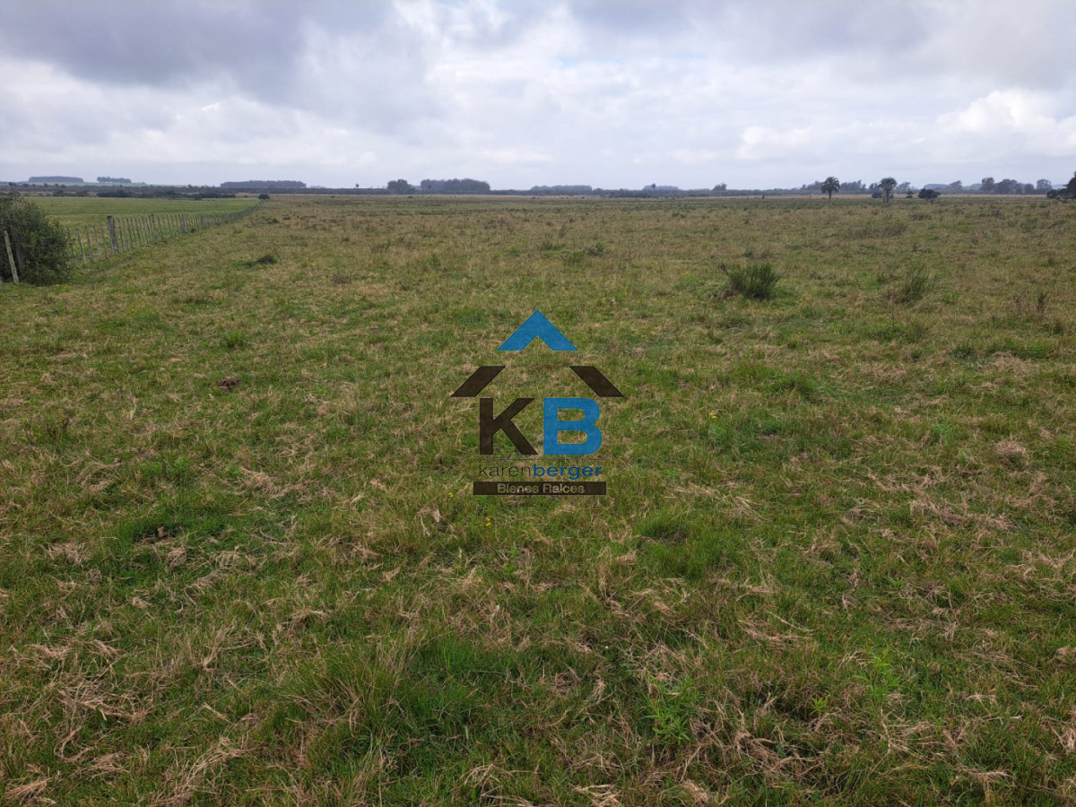 Campo Ref.623 - Campo agrícola ganadero 