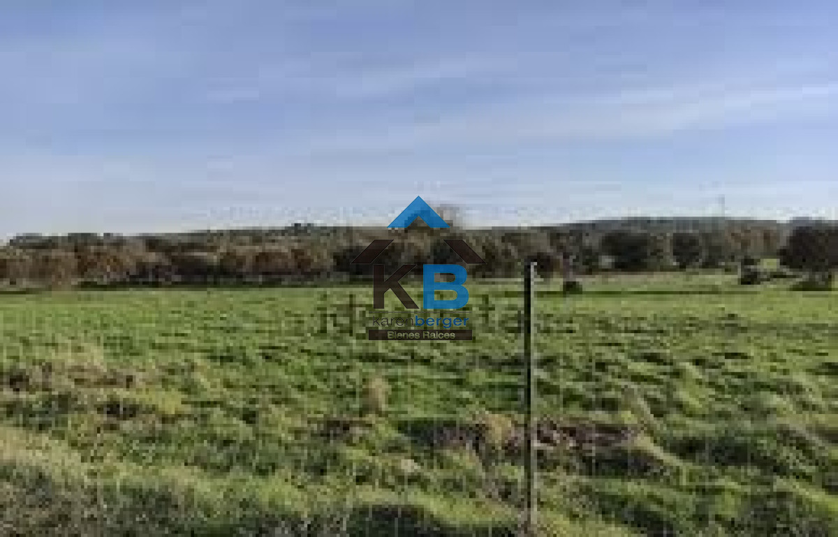 Campo Ref.417 - Campo en Paysandú, 