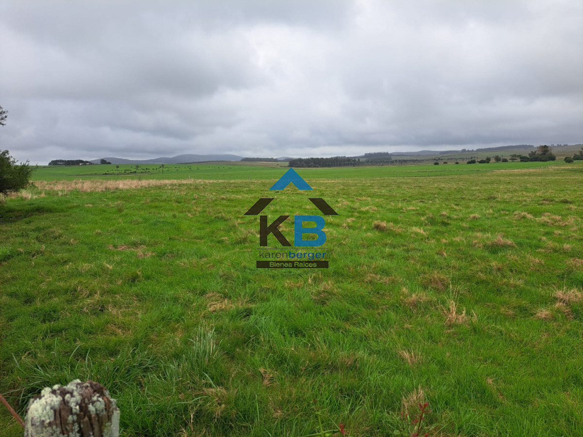 Campo Ref.623 - Campo agrícola ganadero 