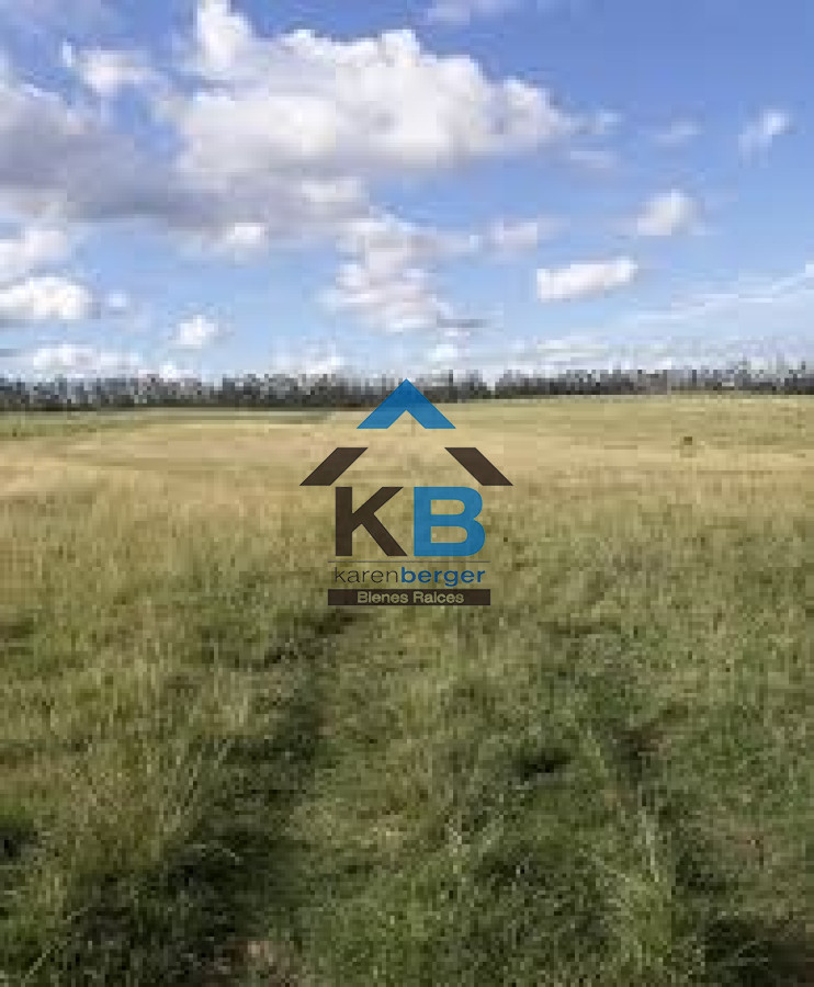 Campo Ref.417 - Campo en Paysandú, 