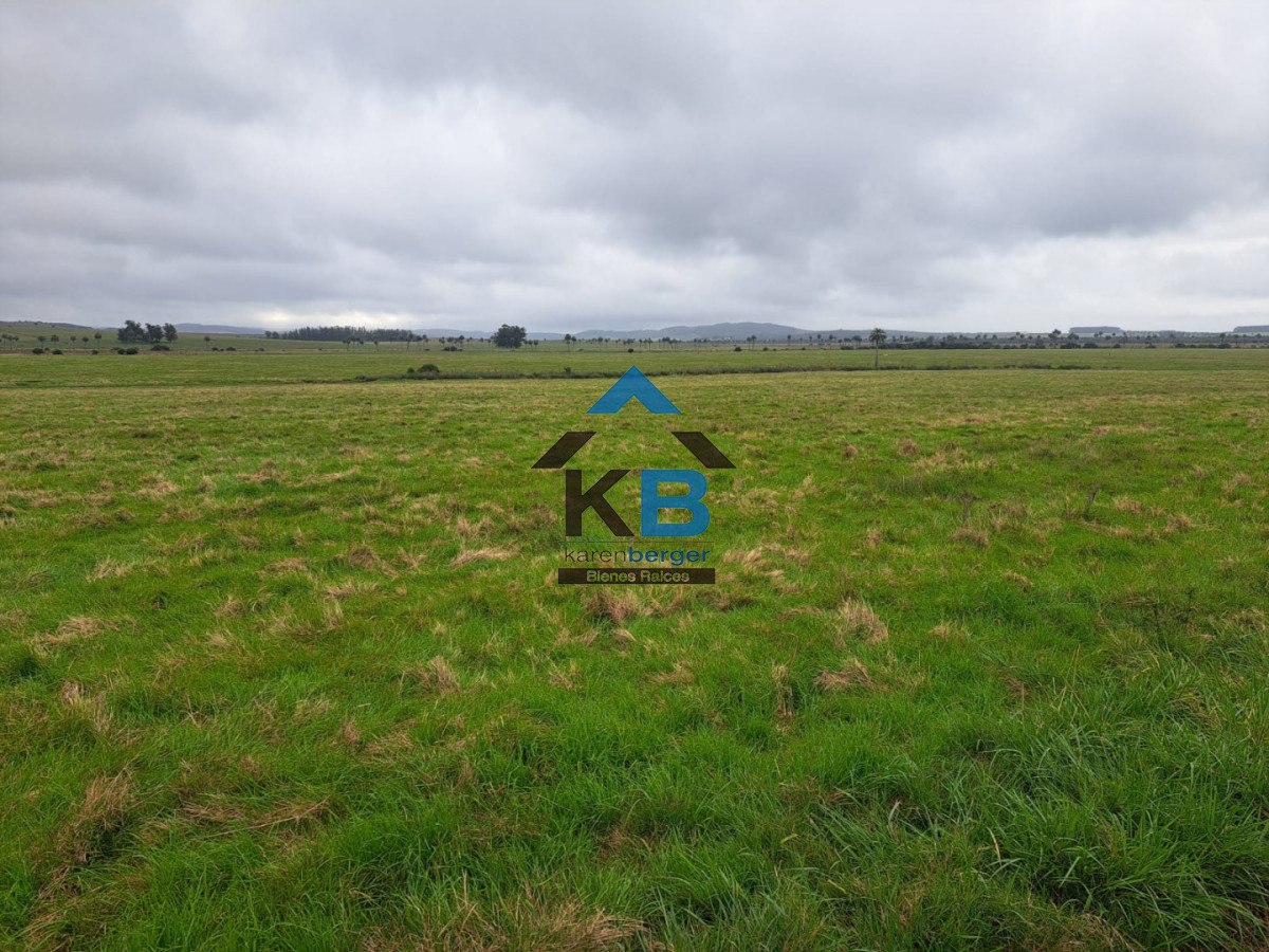 Campo Ref.623 - Campo agrícola ganadero 