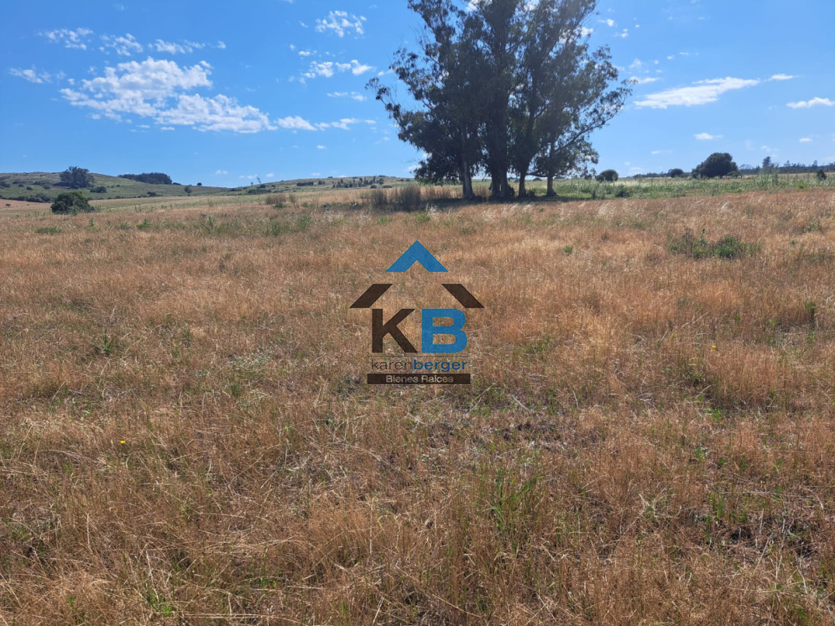 Campo Ref.620 - Venta de campo en Rocha