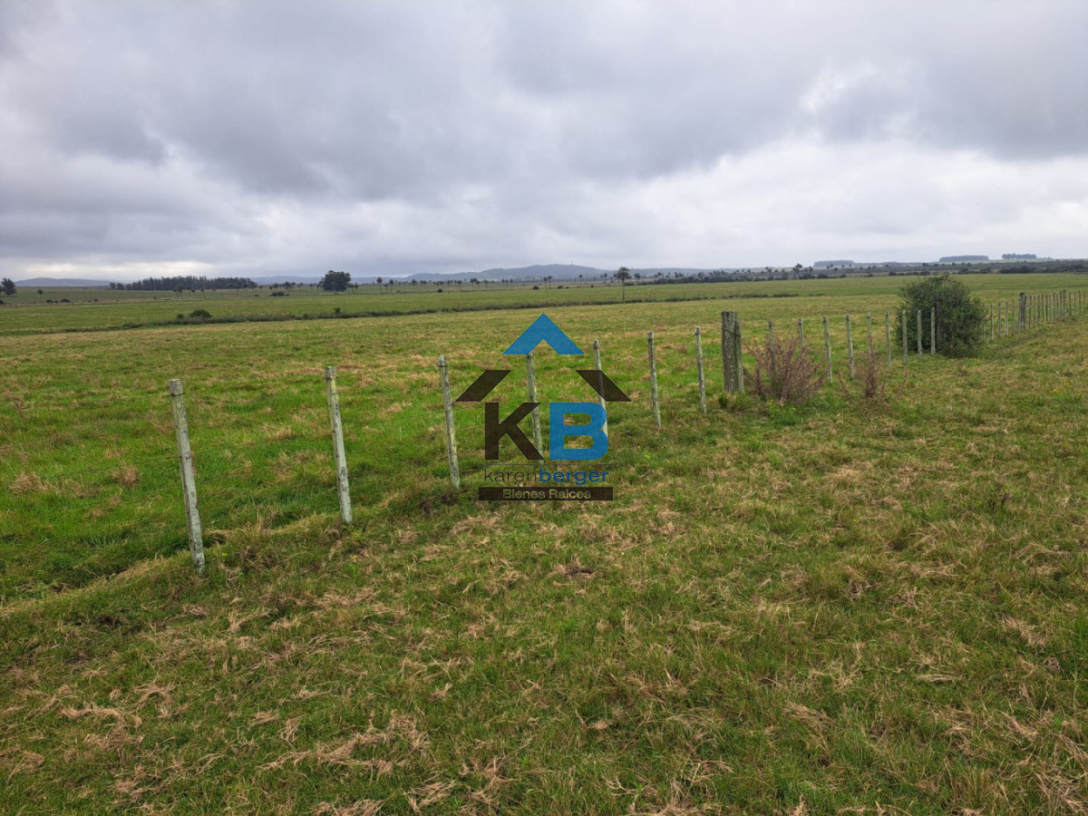 Campo Ref.623 - Campo agrícola ganadero 